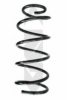 SPIDAN 55189 Coil Spring